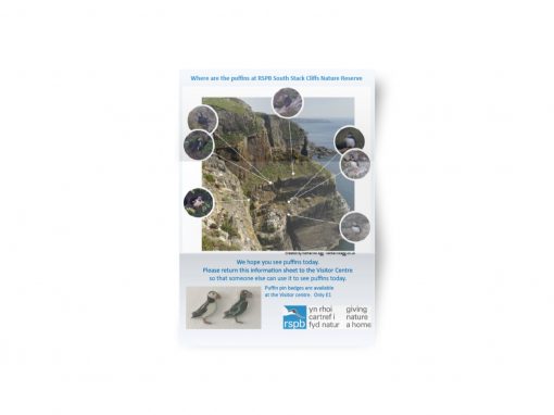 Puffin Map – RSPB South Stack Cliffs